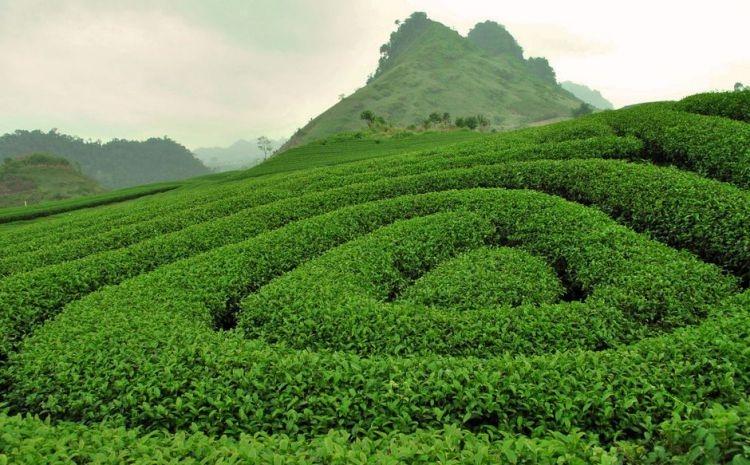 Vòng Cung Tây Bắc – Hà Nội – Mộc Châu – Sơn La – Điện Biên – Lai Châu – Sapa – Fansipan – Hà Nội